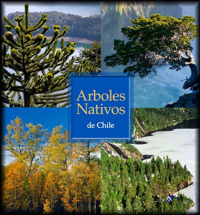 Portada Libro Árboles Nativos Nicolás García