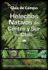 Ir al libro de Helechos de Chile