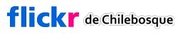 Ir al Flickr de Chilebosque