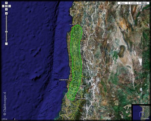 Mapa de distribucion de Tecophileaea violaeflora