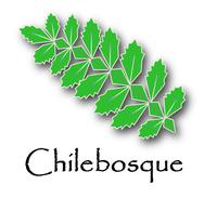 Chilebosque