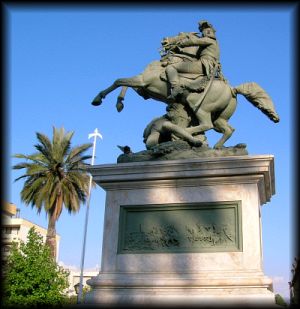 Palma chilena (Jubaea chilensis) en Plaza de Armas de Rancagua, Región de O'Higgins