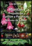 guia enredaderas nativas