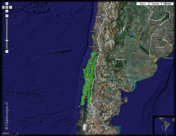 Mapa de distribucion de Aextoxicon punctatum